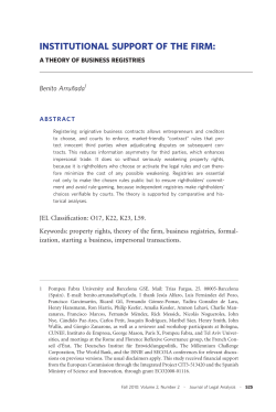 institutional support of the firm