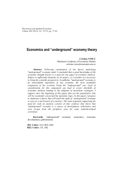Economics and &ldquo;underground&rdquo; economy theory