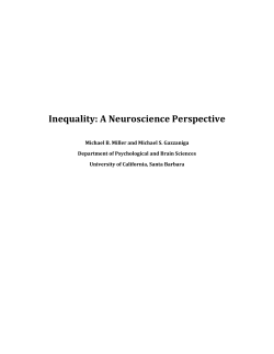 paper - Institute for New Economic Thinking