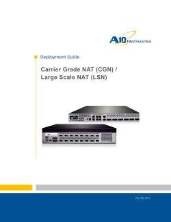 Carrier Grade NAT