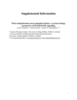 1478-811X-11-52-S1.D