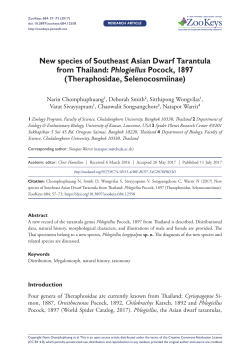 New species of Southeast Asian Dwarf Tarantula from