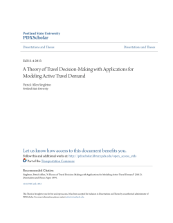 A Theory of Travel Decision-Making with Applications