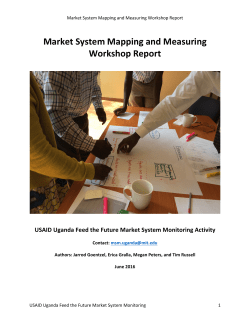 Market System Mapping Workshop - Massachusetts Institute of