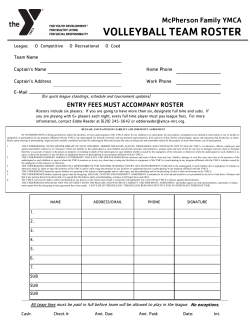 to a volleyball team roster form