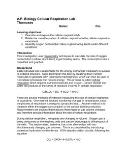 AP Biology Cellular Respiration Lab Thomases