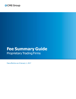 Fee Summary Guide