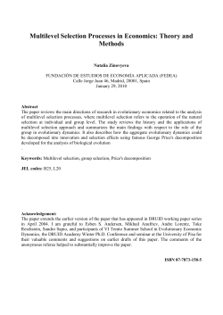 Multilevel Selection Processes in Economics: Theory and