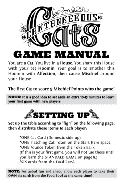 game manual - Cantankerous Cats