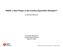 by Gerhard Meissner Circulation Research Volume 94(4):418