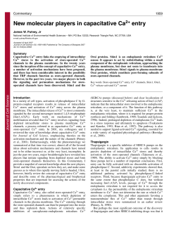 New molecular players in capacitative Ca entry