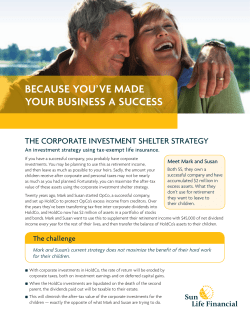 The CorporaTe InvesTmenT shelTer sTraTegy