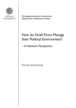 How do Small Firms Manage their Political Environment?