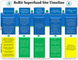 BoRit Timeline for Cleanup Process