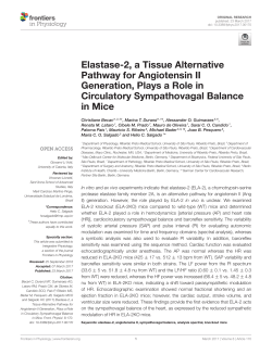 Elastase-2, a Tissue Alternative Pathway for Angiotensin II