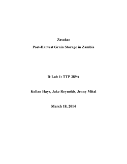 Post-Harvest Grain Storage in Zambia - UC Davis D-Lab