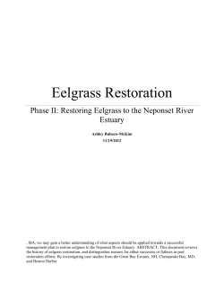 Eelgrass Restoration - BIOEEOS660-f12