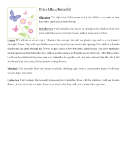 Butterfly unit - additional lesson ideas