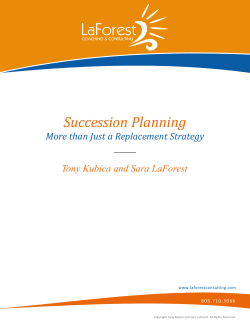 Succession Planning More than Just a Replacement Strategy