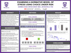 Examining a Normative Model of Stress Using Choice Under Risk