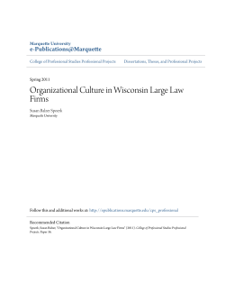 Organizational Culture in Wisconsin Large Law Firms