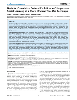 Basis for Cumulative Cultural Evolution in Chimpanzees: Social