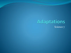 Slide 1 - rms-mrterryscience