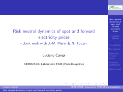Risk neutral dynamics of spot and forward electricity prices -