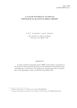 A Gauge Invariant Action in Topological Quantum Field Theory
