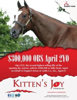 Hip #235, the second highest selling filly of the