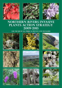 Northern Rivers Invasive Plants Action Strategy 2009-2013