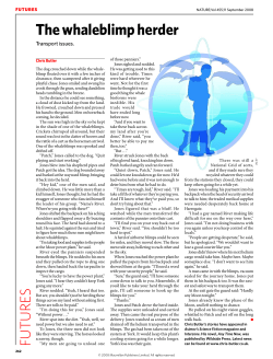 The whaleblimp herder