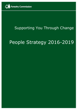 8 - People Strategy Annex