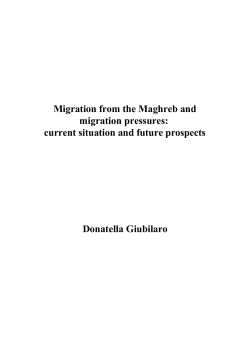Migration from the Maghreb and migration pressures: current