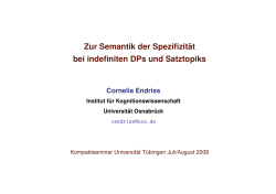 Choice Function and Domain Restriction Approaches and Their