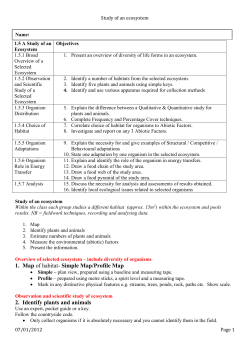 Study of an ecosystem