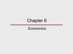 Chapter 8 Economics