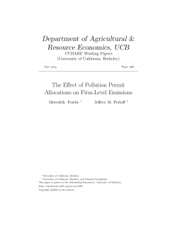 The Effect of Pollution Permit Allocations on Firm