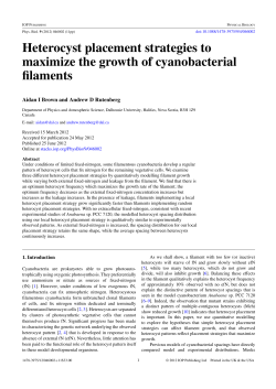 Heterocyst placement strategies to maximize the growth of