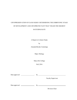 cryopreservation of danio rerio: determining the
