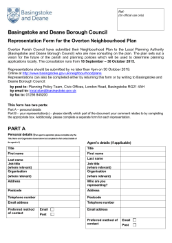 Basingstoke and Deane Borough Council Representation Form for