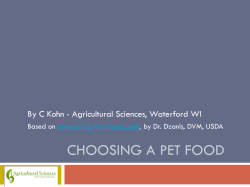 Choosing a Dog Food