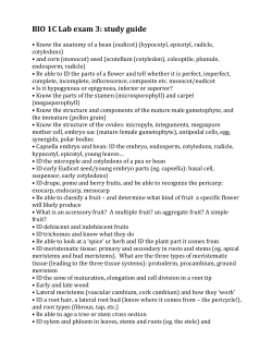 BIO 1C Lab exam 3: study guide