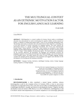 the multilingual context as an extrinsic motivation factor for english