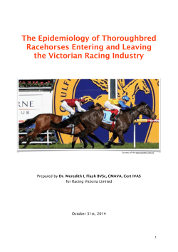 Epi of TB enter and leaving racing - The International Forum for the