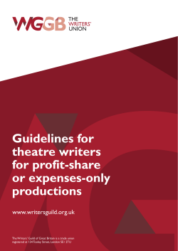 Guidelines for theatre writers for profit-share or expenses