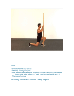 The Lunge - Fit Bodies Fit Minds
