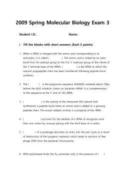 2009 Spring Molecular Biology Exam 3 Student I.D.: Name: Fill the