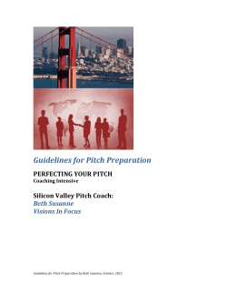 Guidelines for Pitch Preparation PERFECTING