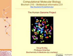 The Human Genome Project